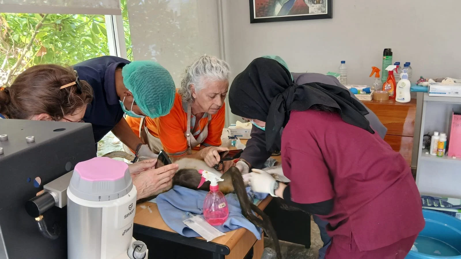 Researching the DNA of the Kekah