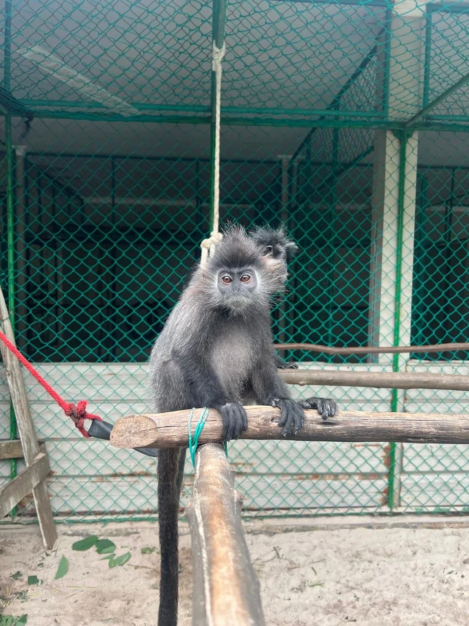 WhatsApp Image 2026-02-10 at 16.23.11 (1).jpeg