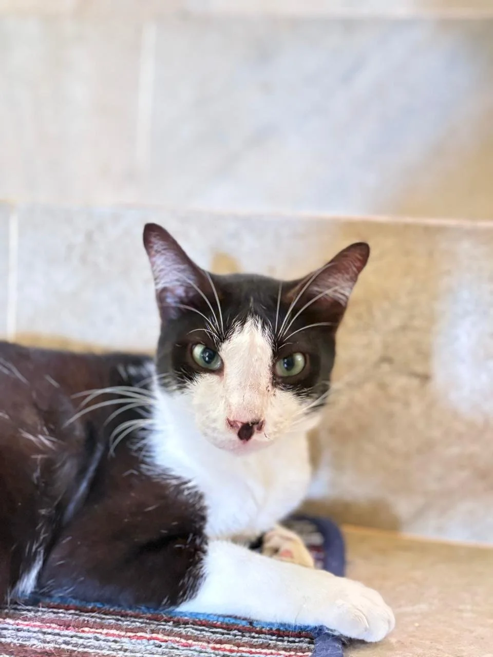 WhatsApp Image 2026-02-18 at 13.10.11 (7).jpeg