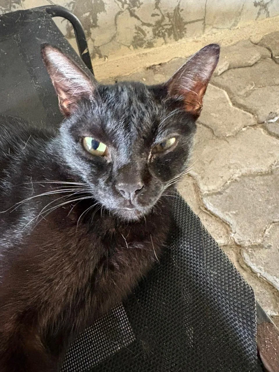 WhatsApp Image 2026-02-10 at 10.28.09.jpeg