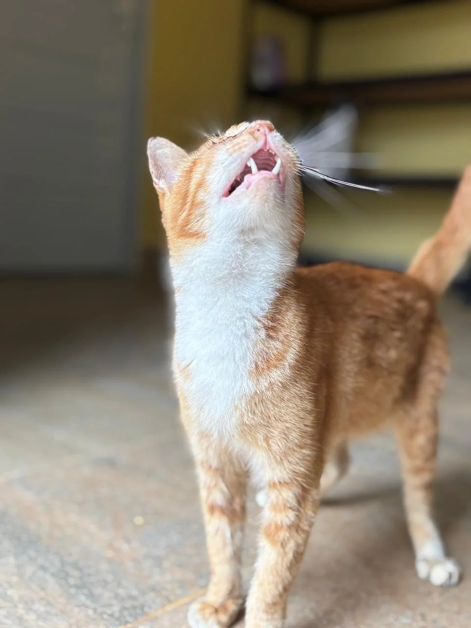 WhatsApp Image 2026-02-18 at 13.10.10.jpeg