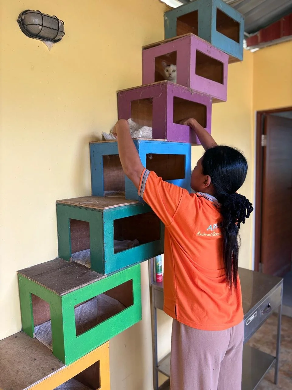 WhatsApp Image 2026-02-25 at 13.53.31 (23).jpeg