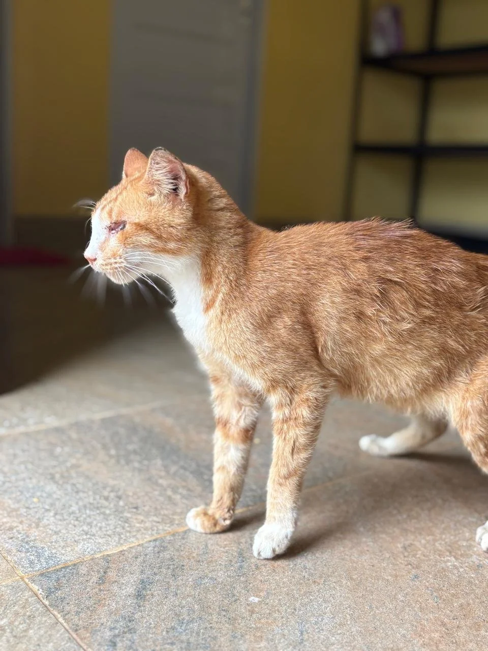 WhatsApp Image 2026-02-18 at 13.10.10 (2).jpeg