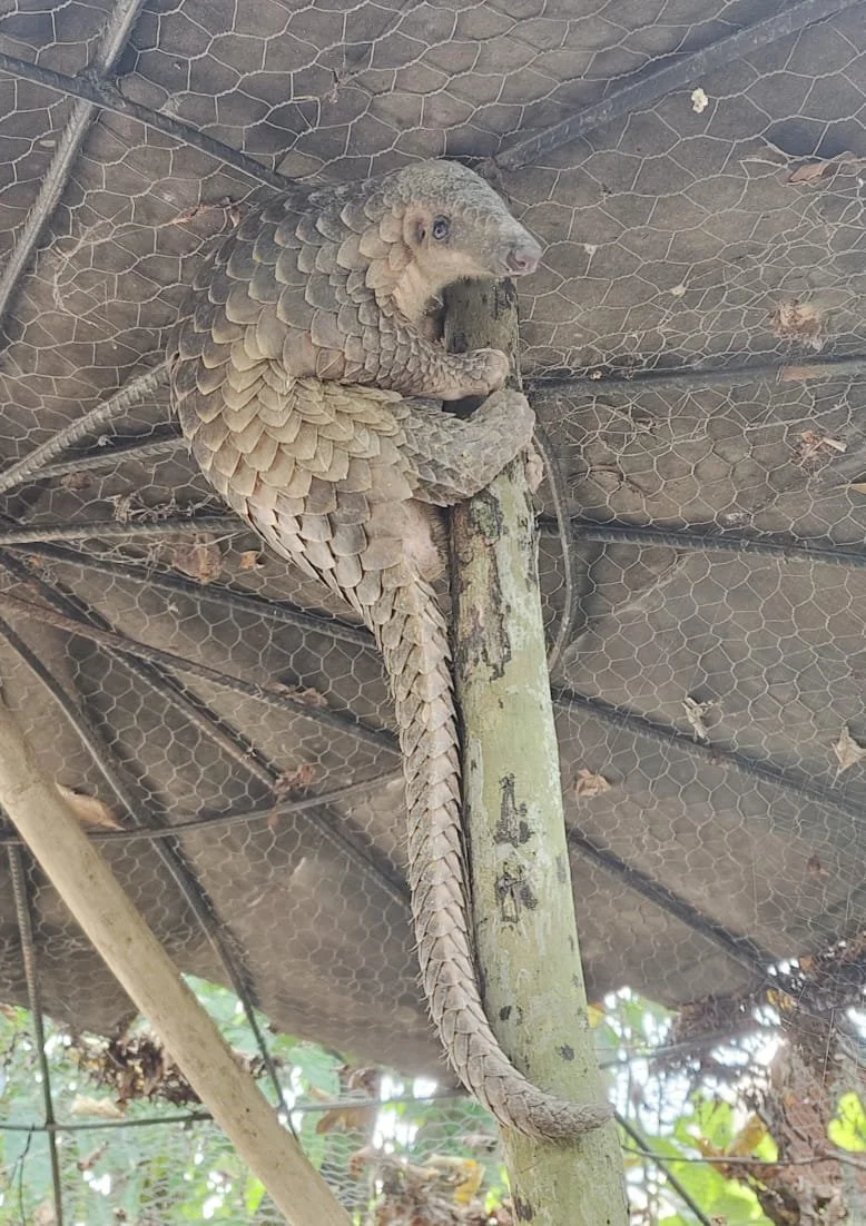 WhatsApp Image 2026-02-01 at 11.21.02.jpeg