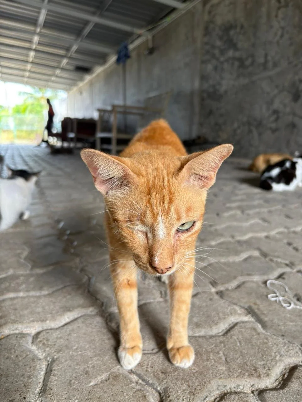 WhatsApp Image 2026-02-10 at 10.28.12.jpeg