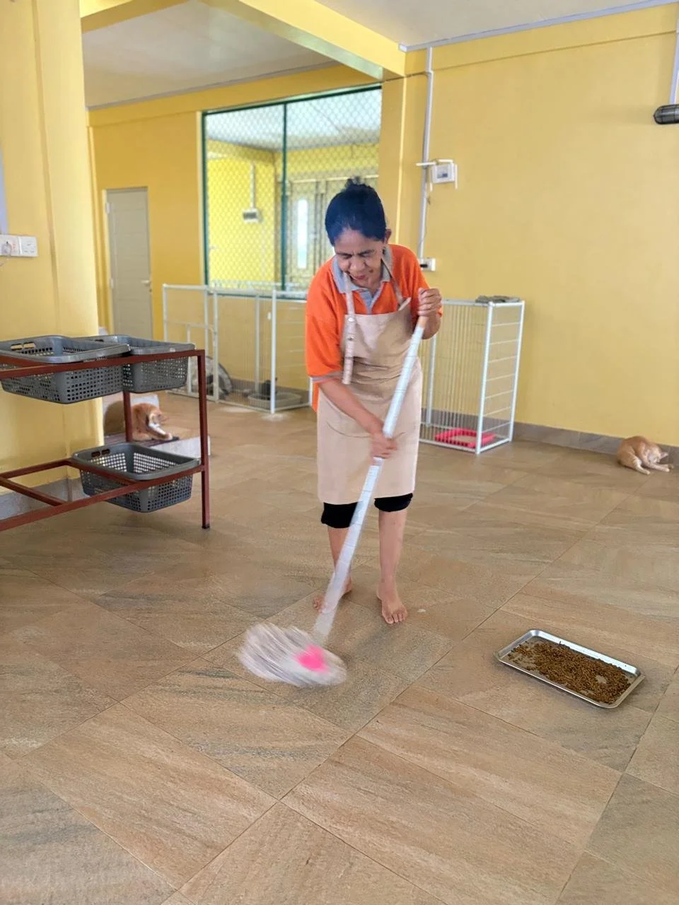 WhatsApp Image 2026-02-25 at 13.53.31 (6).jpeg