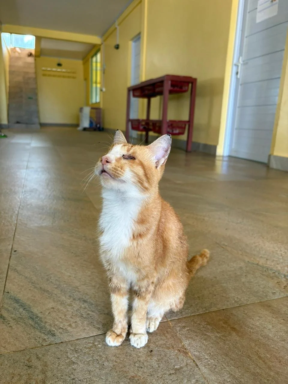 WhatsApp Image 2026-02-10 at 10.29.00.jpeg