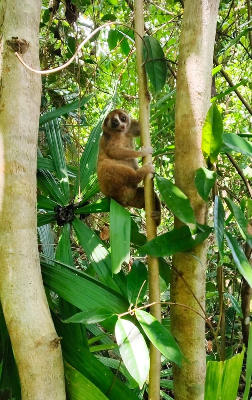 WhatsApp Image 2026-02-19 at 09.41.11.jpeg