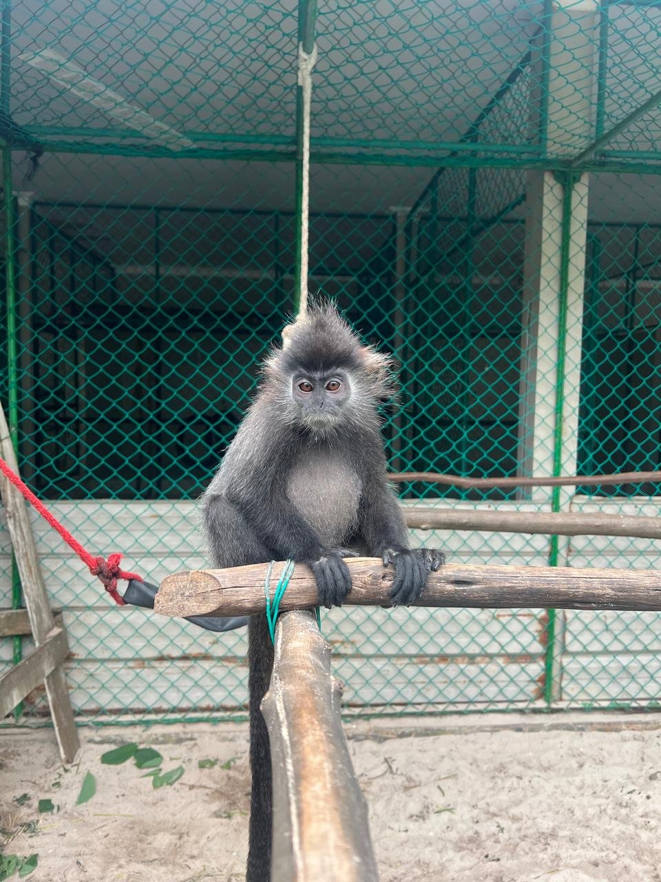 WhatsApp Image 2026-02-10 at 16.23.11 (3).jpeg