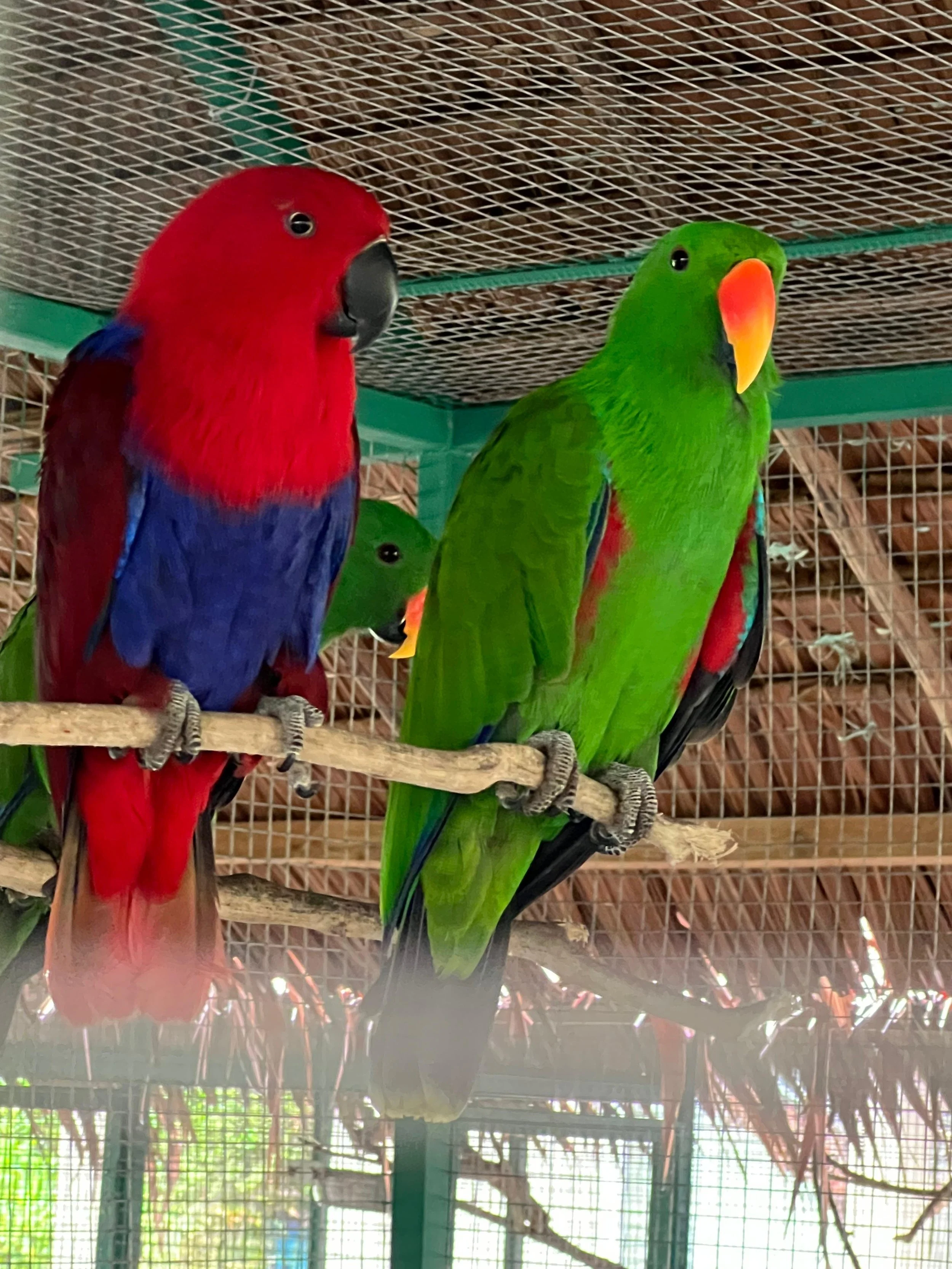 WhatsApp Image 2026-02-02 at 11.26.08.jpeg