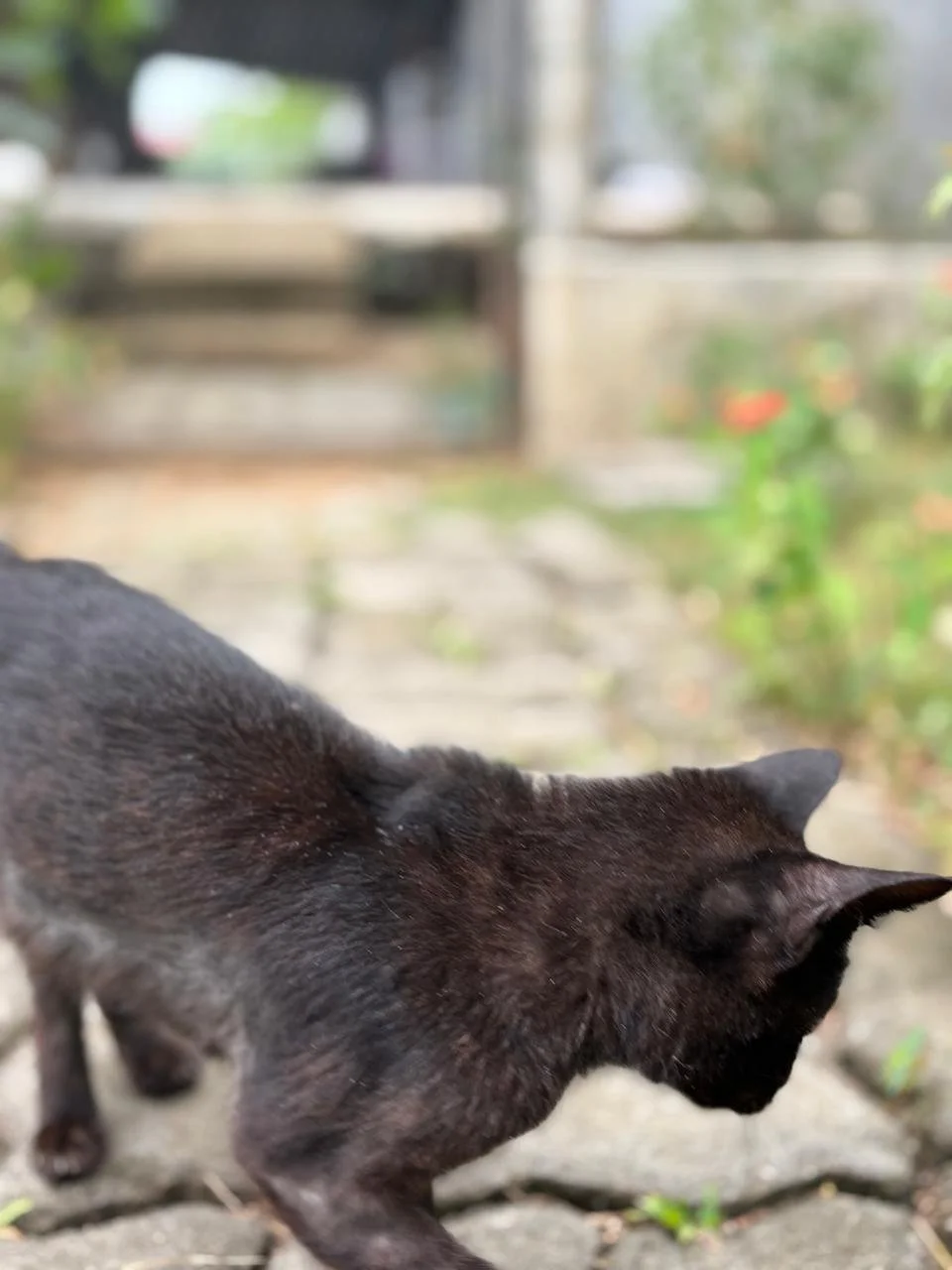 WhatsApp Image 2026-02-18 at 13.10.11 (1).jpeg