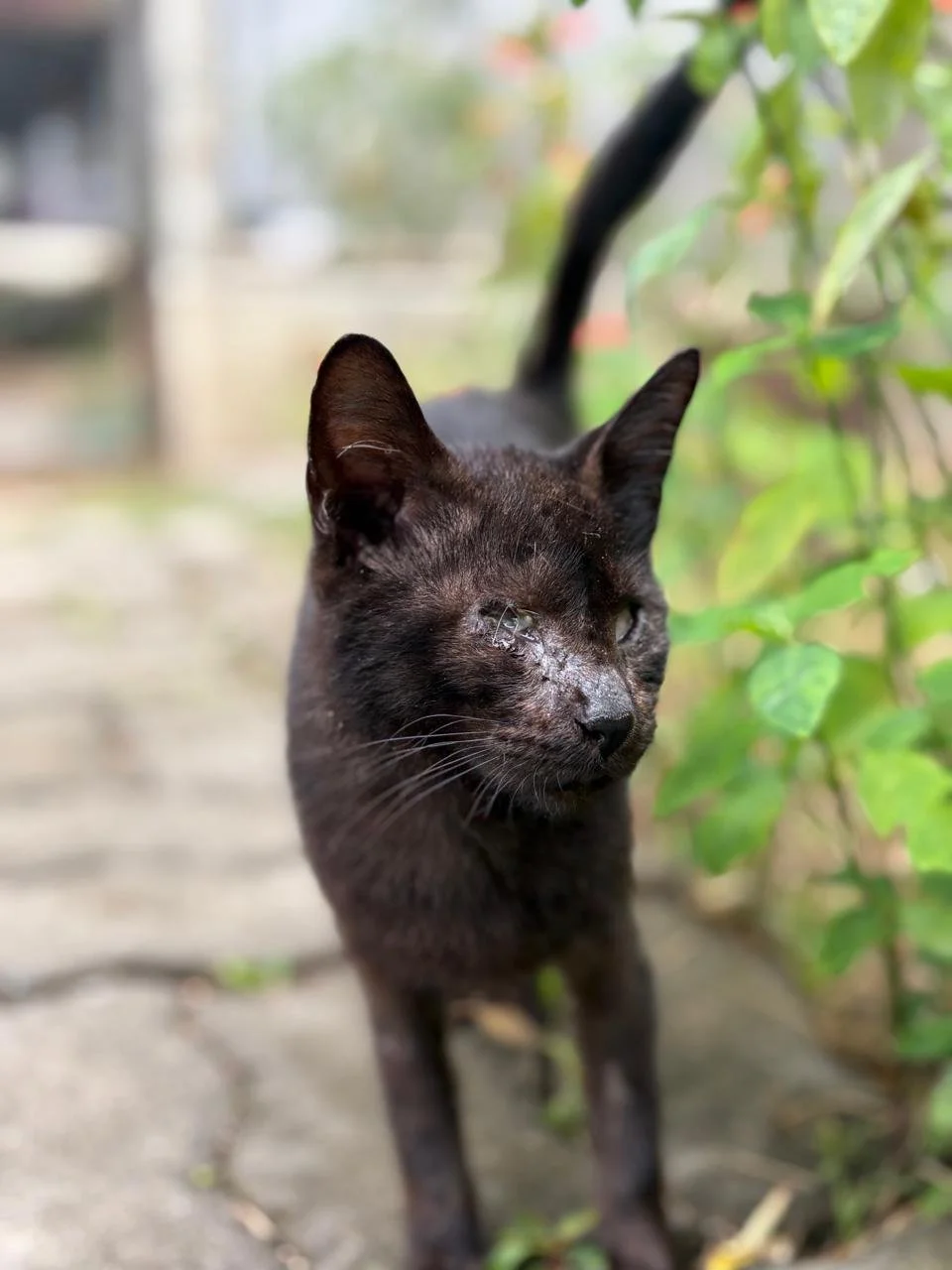 WhatsApp Image 2026-02-18 at 13.10.11 (4).jpeg