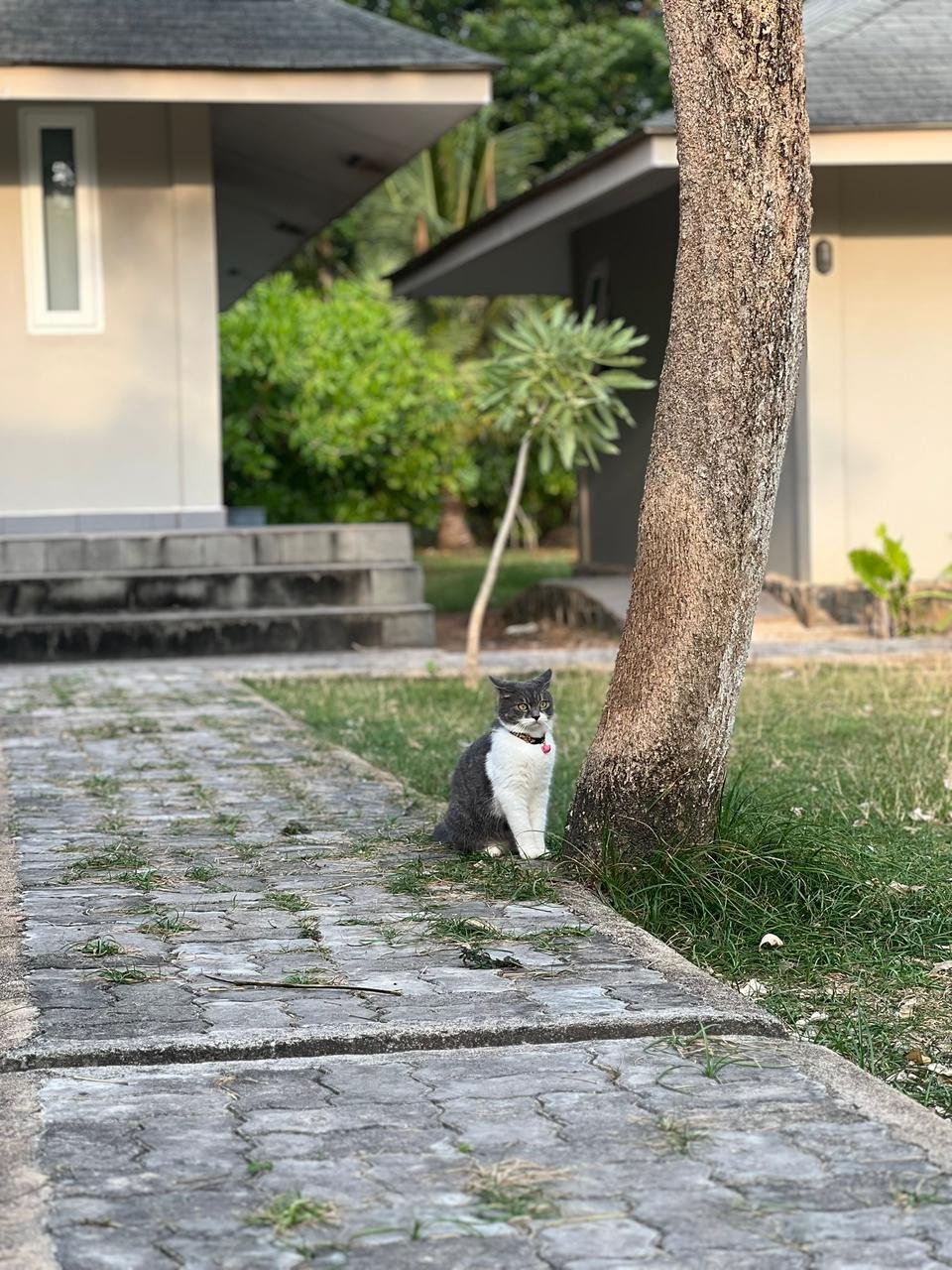 WhatsApp Image 2026-02-02 at 11.01.00.jpeg