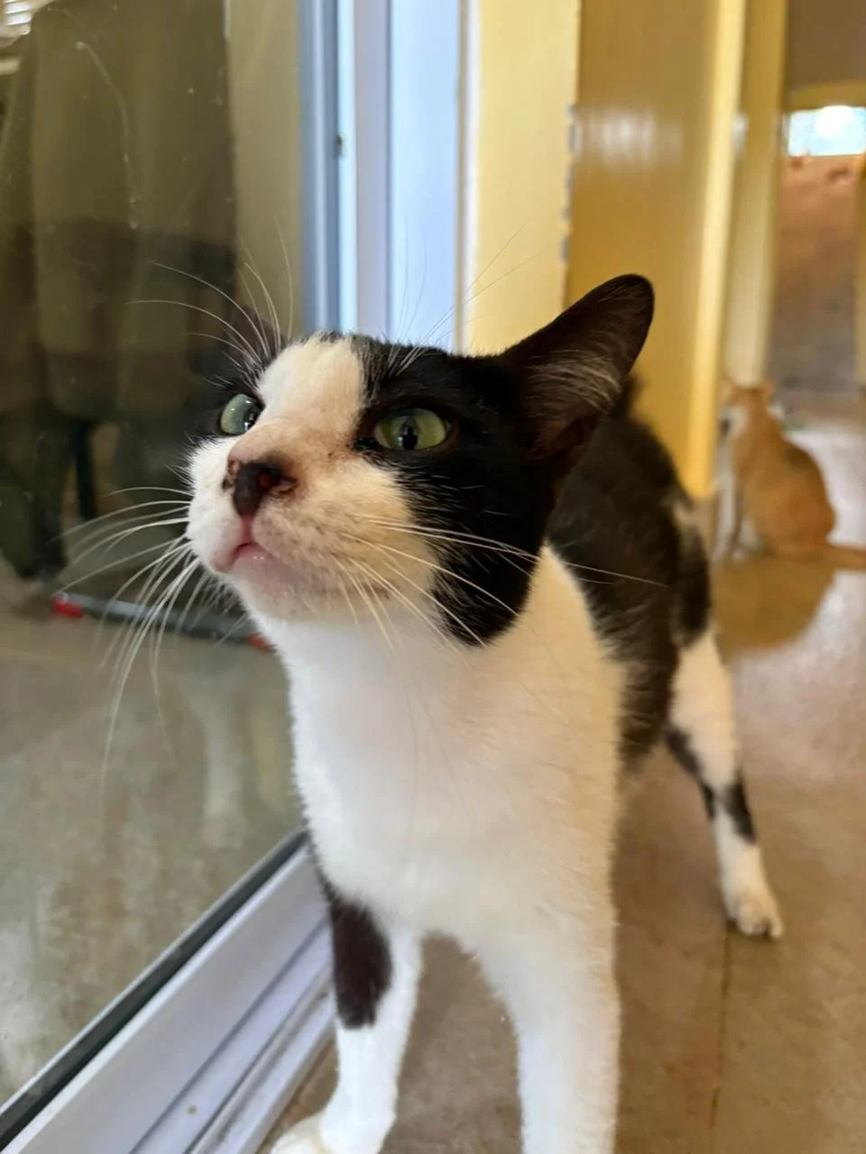 WhatsApp Image 2026-02-10 at 10.29.09.jpeg