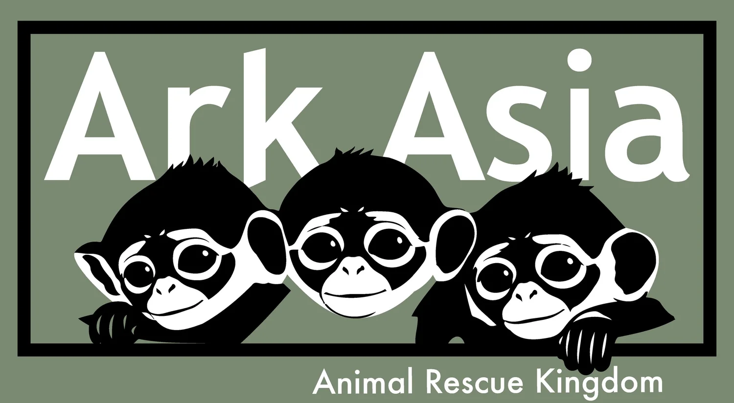ArkAsia Foundation