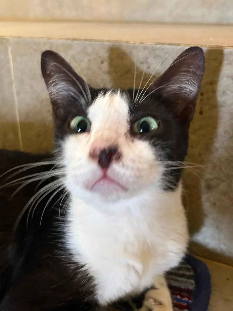 WhatsApp Image 2026-02-18 at 13.10.11 (10).jpeg