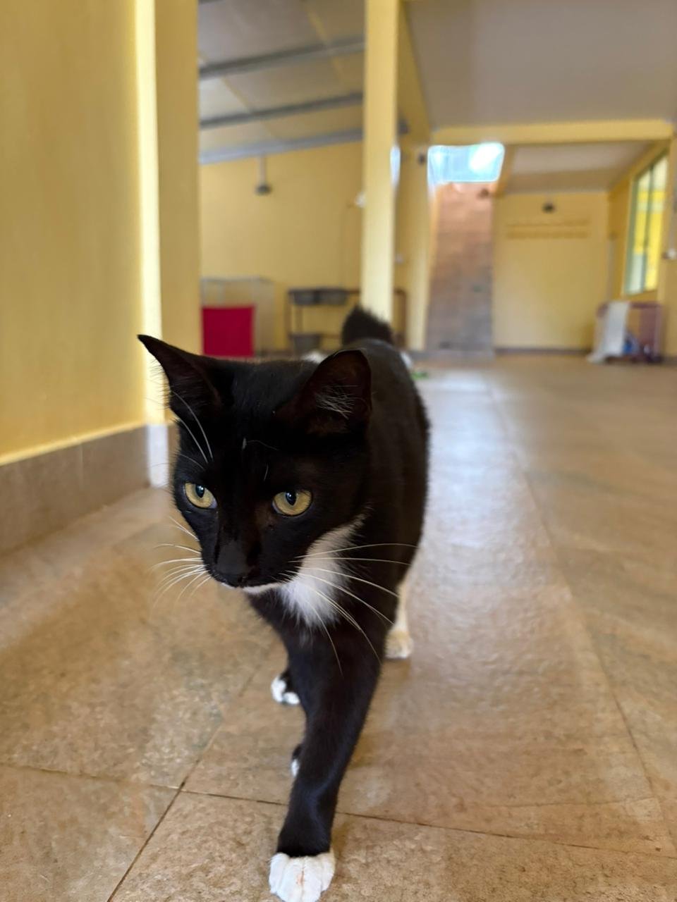 WhatsApp Image 2026-02-10 at 10.28.59.jpeg