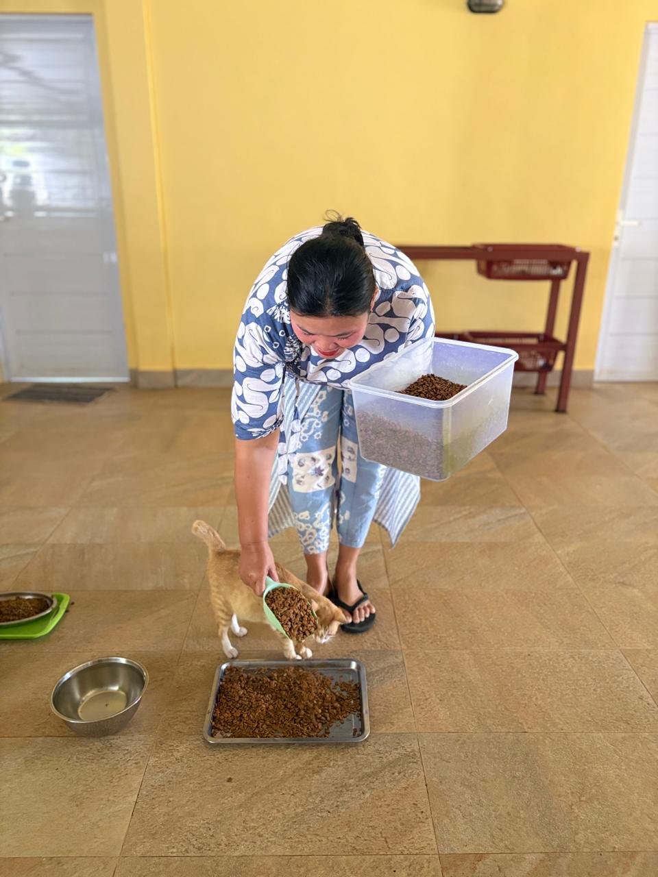 WhatsApp Image 2026-02-25 at 13.53.31.jpeg