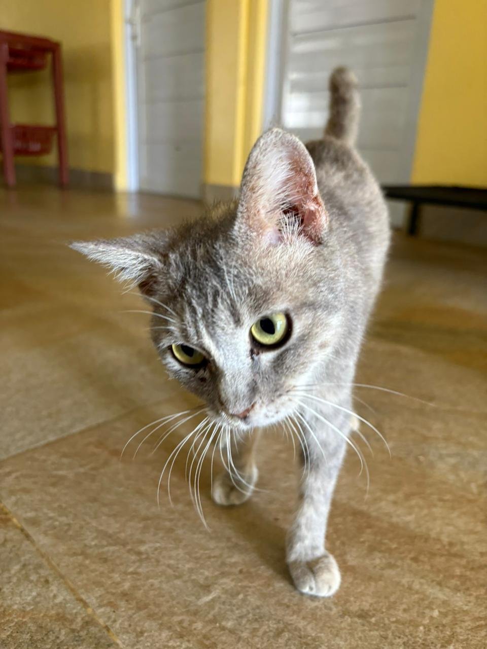 WhatsApp Image 2026-02-10 at 10.29.07.jpeg