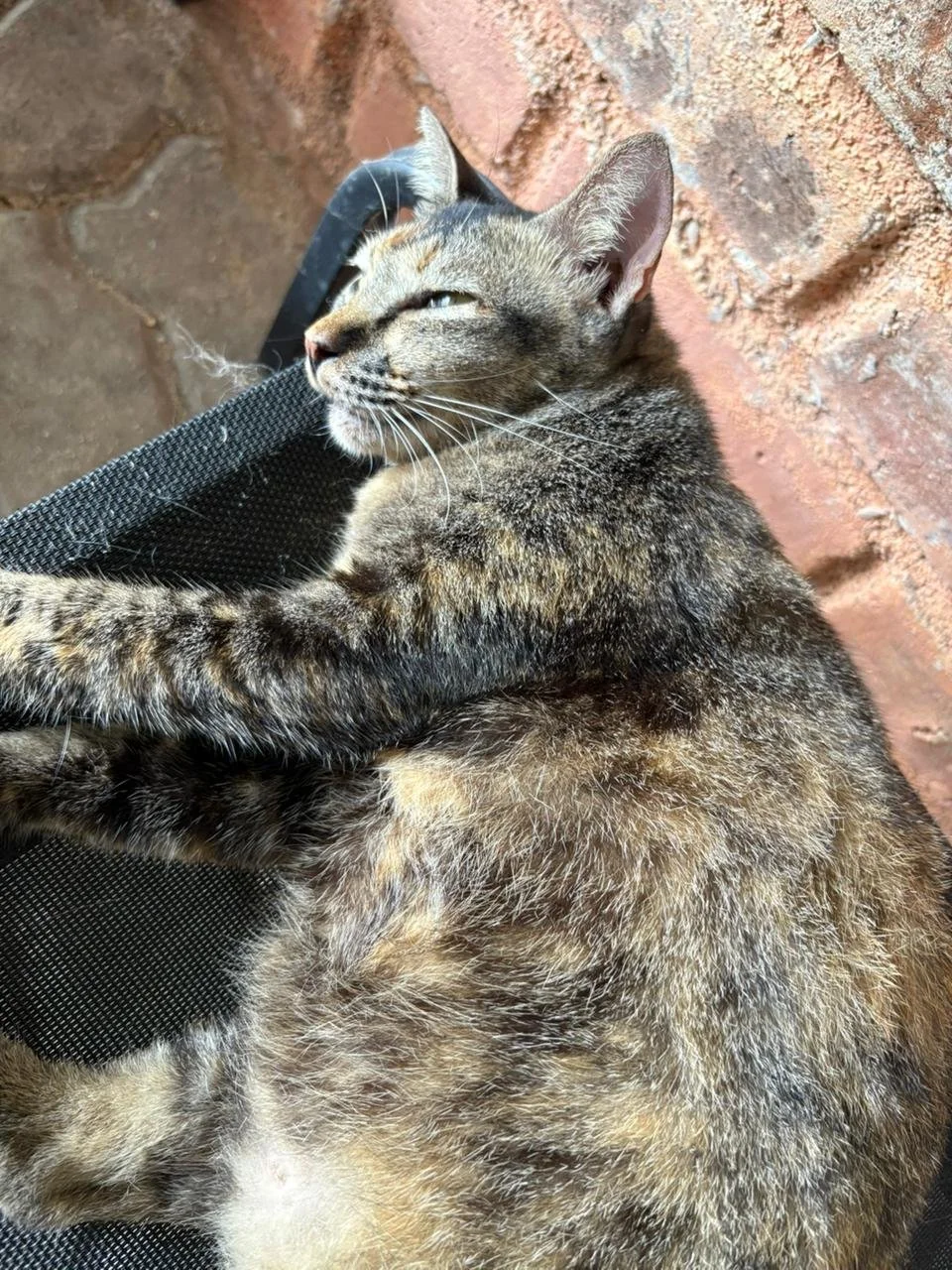 WhatsApp Image 2026-02-10 at 10.28.30.jpeg