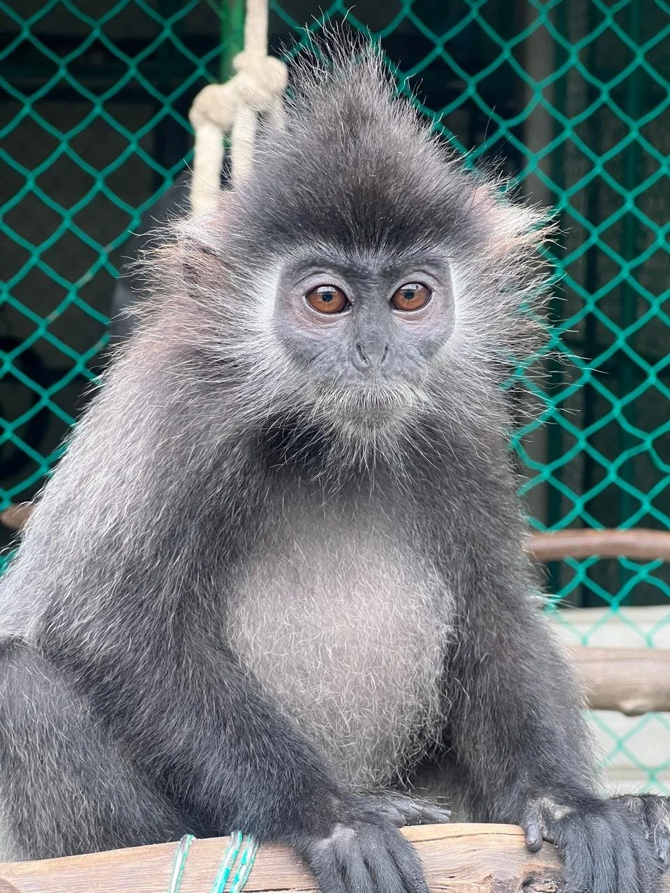 WhatsApp Image 2026-02-10 at 16.23.11 (5).jpeg