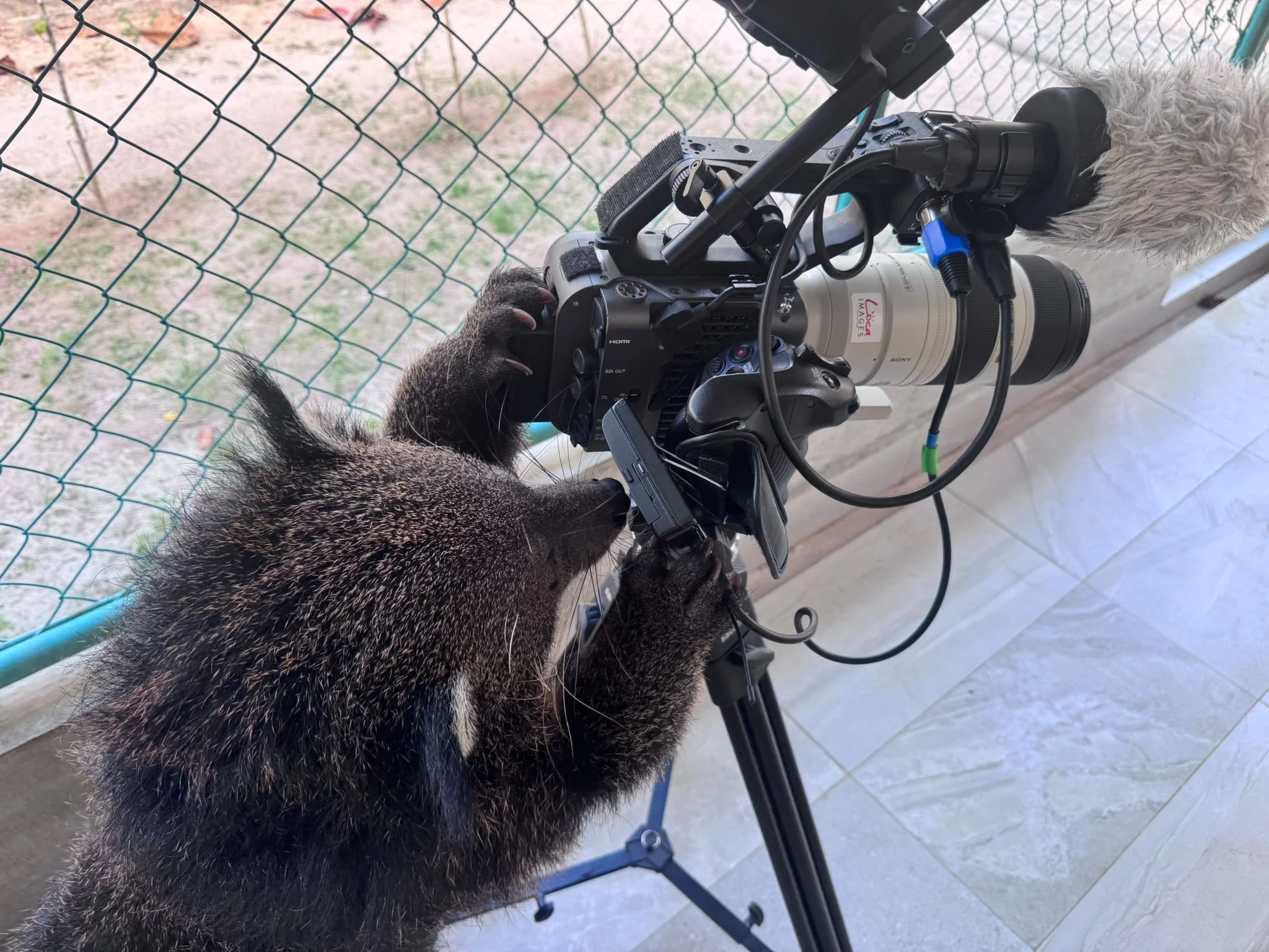 WhatsApp Image 2026-02-08 at 10.03.27.jpeg