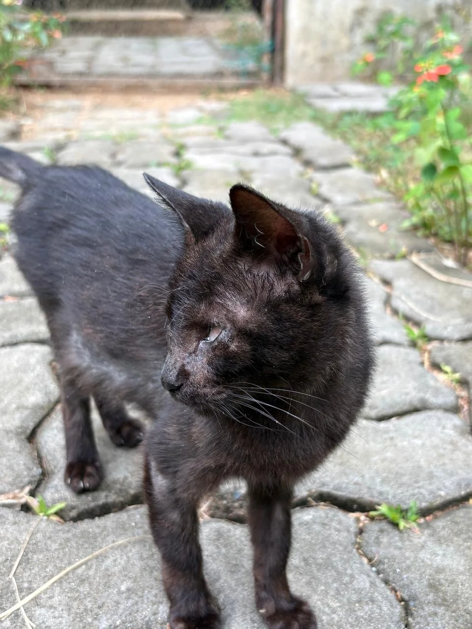 WhatsApp Image 2026-02-18 at 13.10.10 (4).jpeg