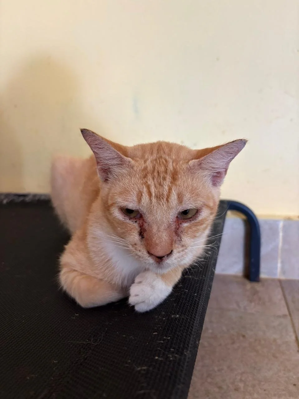 WhatsApp Image 2026-02-10 at 10.28.53.jpeg