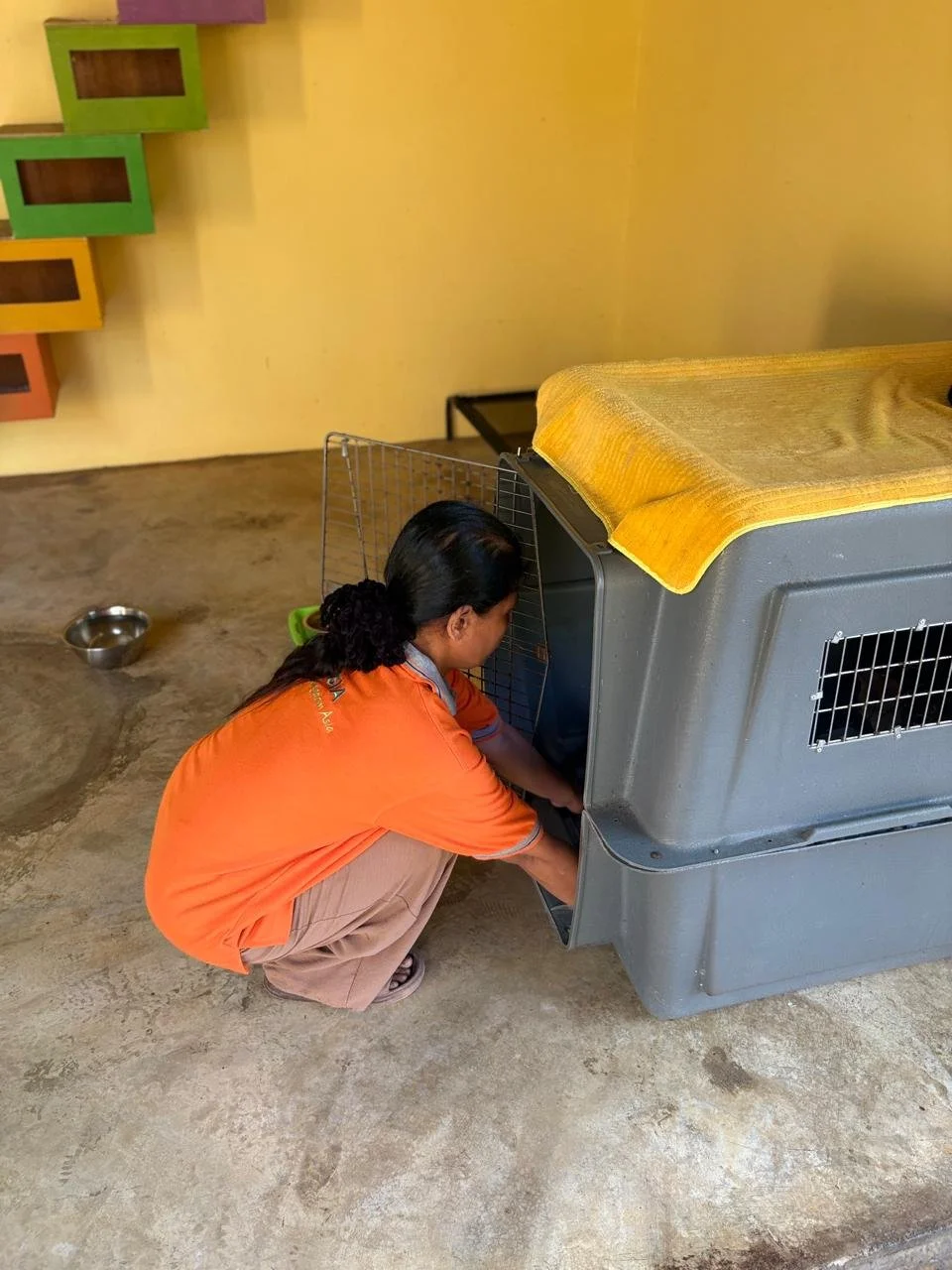 WhatsApp Image 2026-02-25 at 13.53.31 (18).jpeg