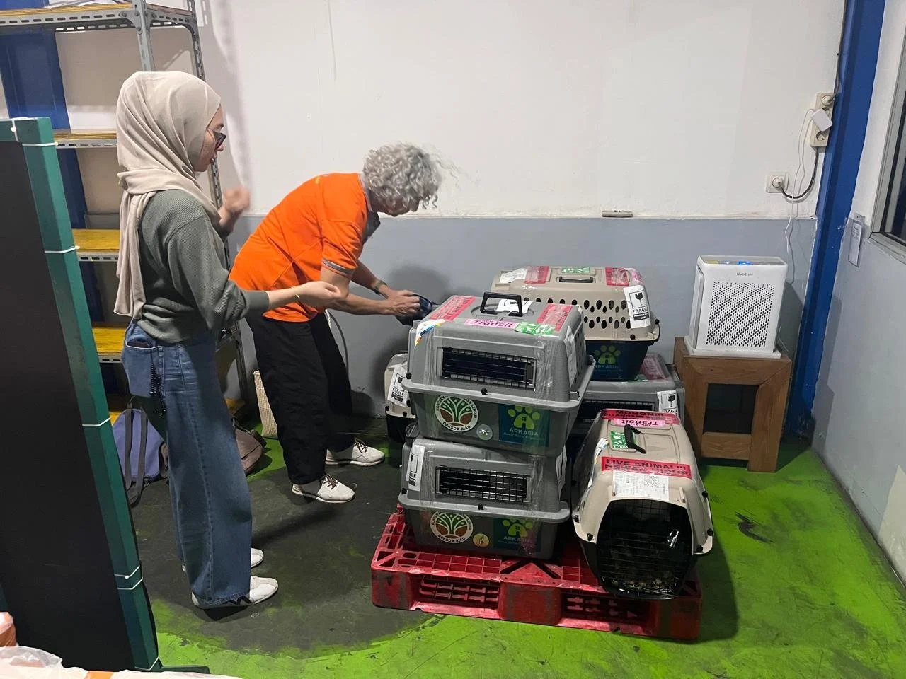 WhatsApp Image 2025-12-19 at 11.35.08.jpeg