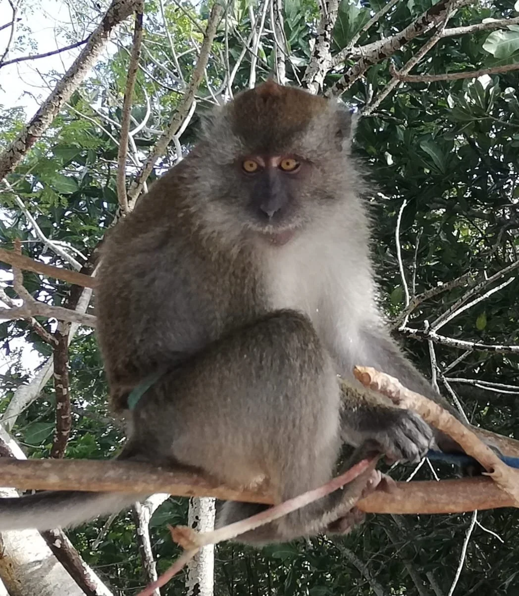 WhatsApp Image 2026-02-19 at 09.27.54.jpeg