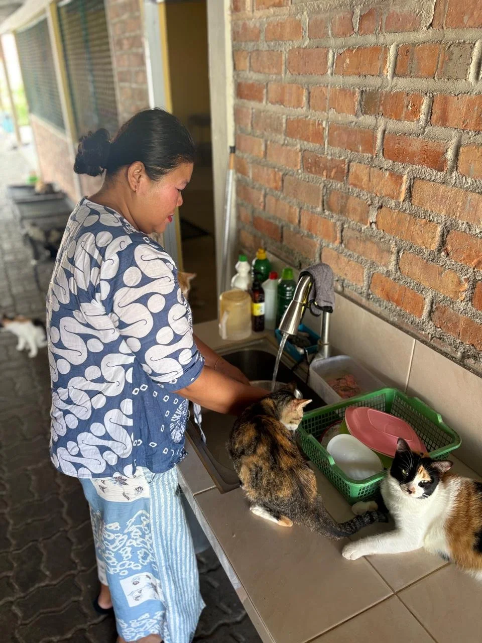 WhatsApp Image 2026-02-25 at 13.53.31 (4).jpeg