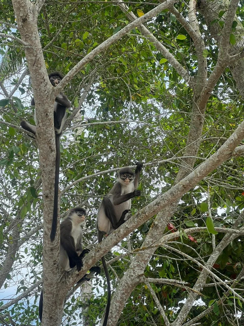 WhatsApp Image 2026-02-02 at 11.12.00.jpeg