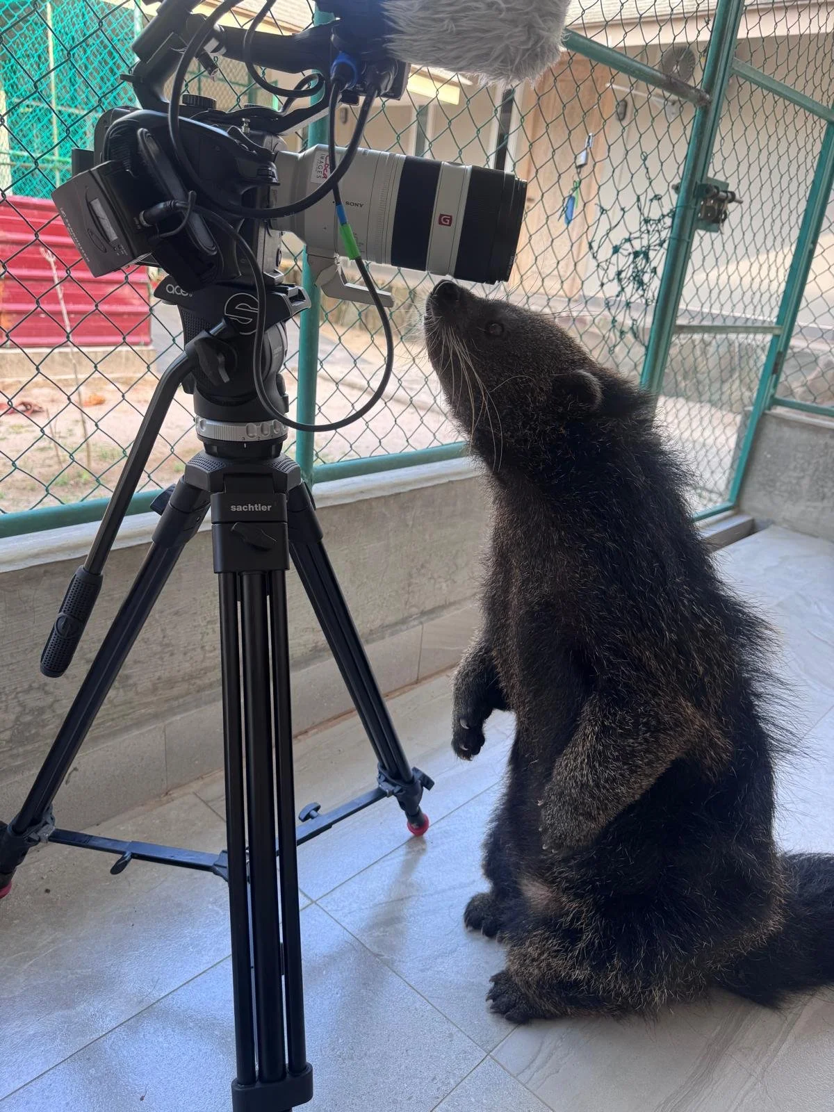 WhatsApp Image 2026-02-08 at 10.02.51.jpeg