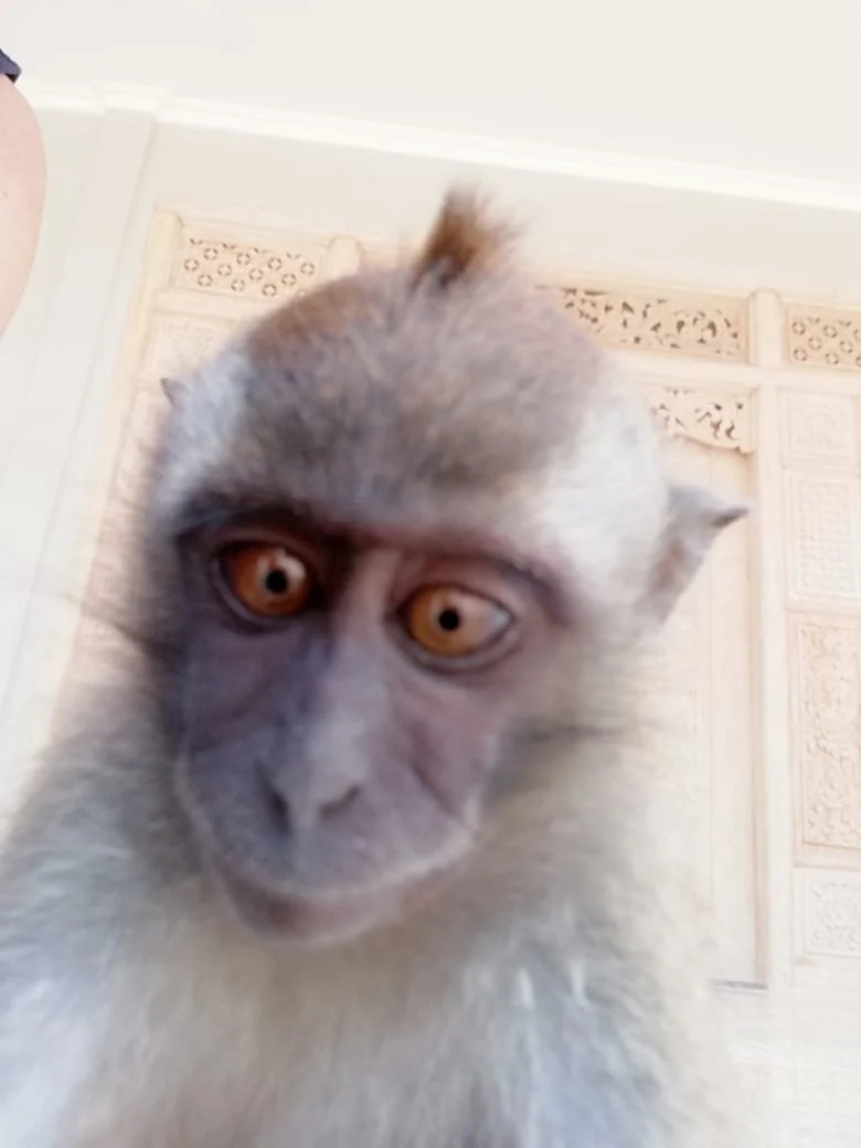 WhatsApp Image 2026-02-19 at 09.26.51 (1).jpeg