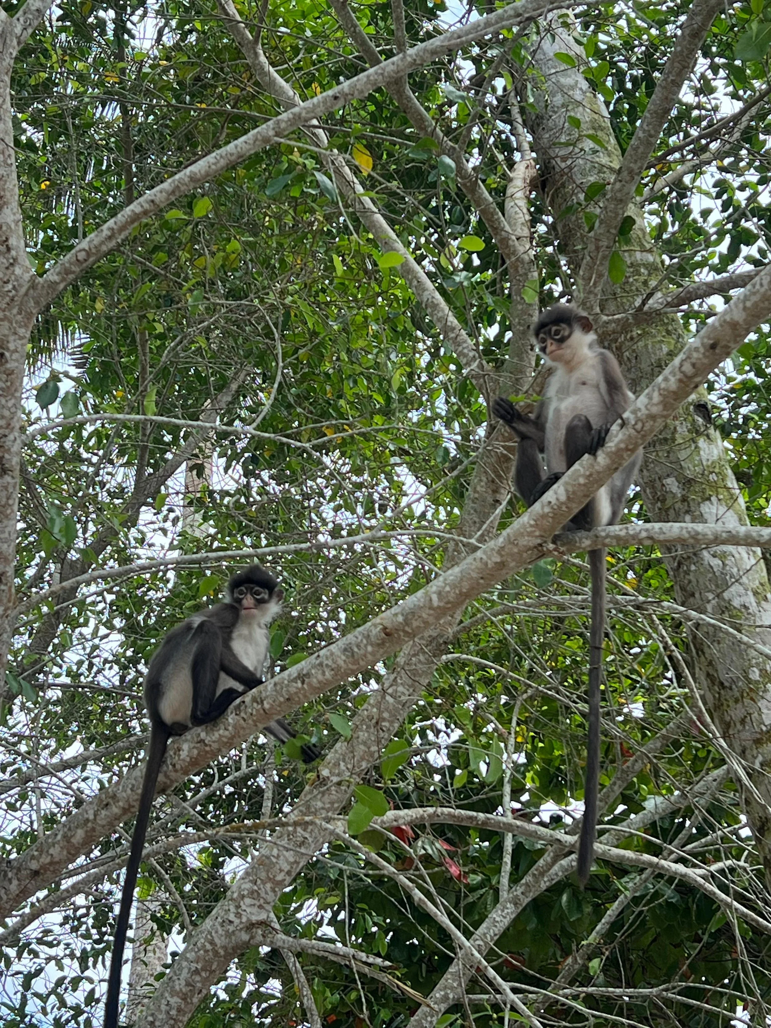 WhatsApp Image 2026-02-02 at 11.26.16 (1).jpeg