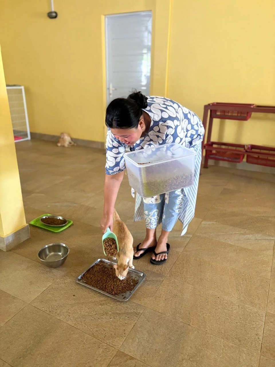 WhatsApp Image 2026-02-25 at 13.53.31 (1).jpeg