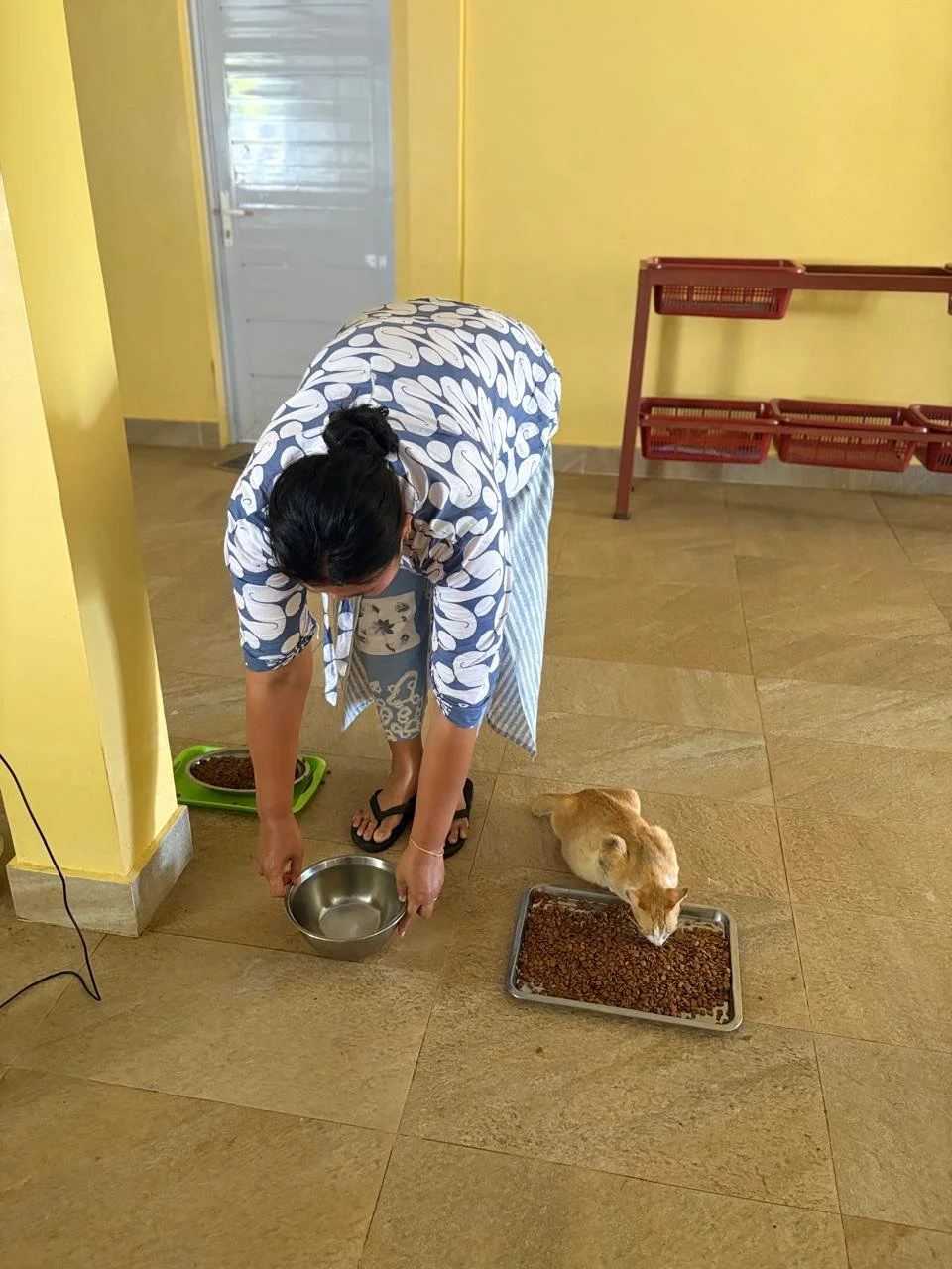 WhatsApp Image 2026-02-25 at 13.53.31 (5).jpeg