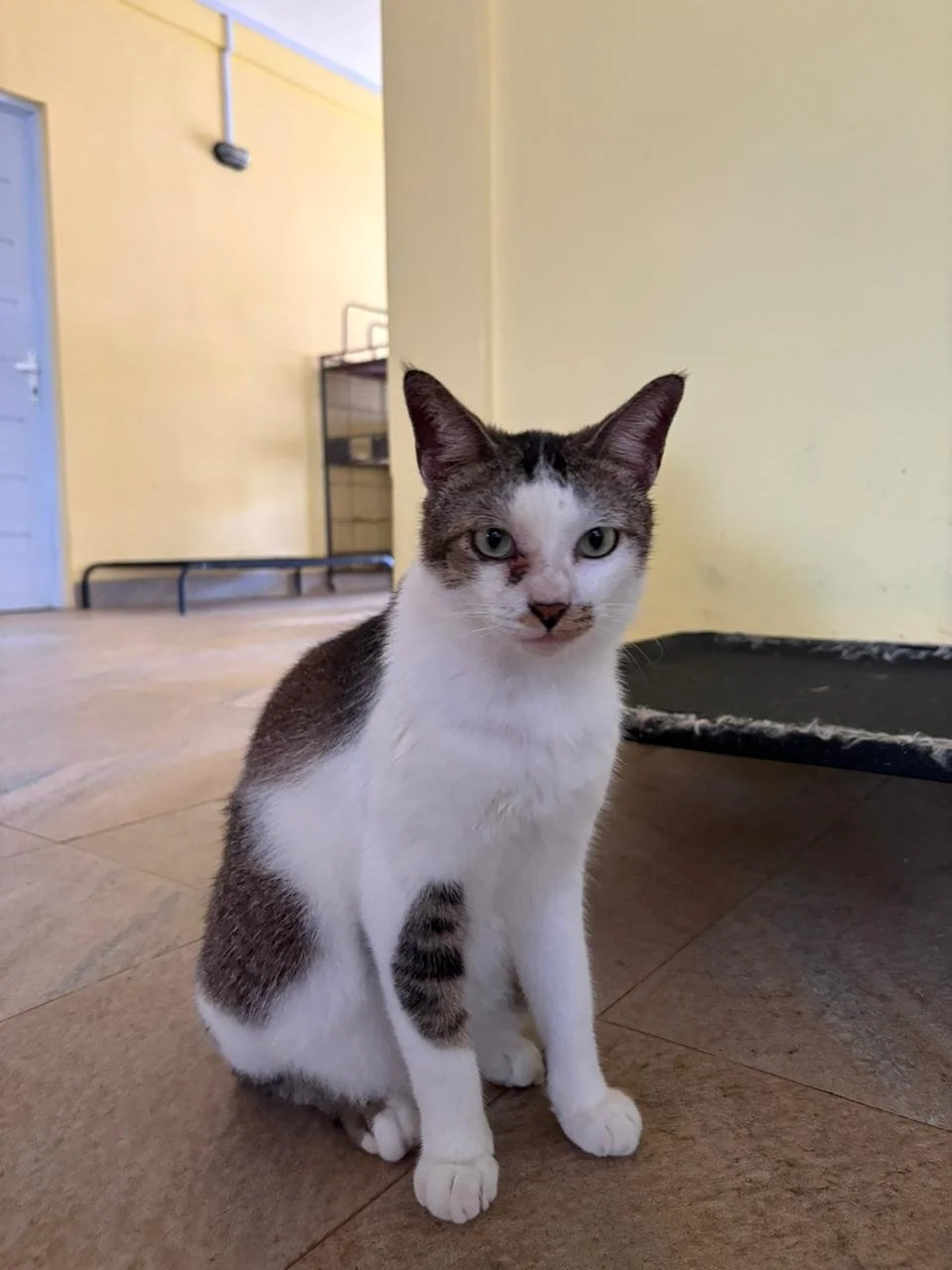 WhatsApp Image 2026-02-10 at 10.28.56.jpeg