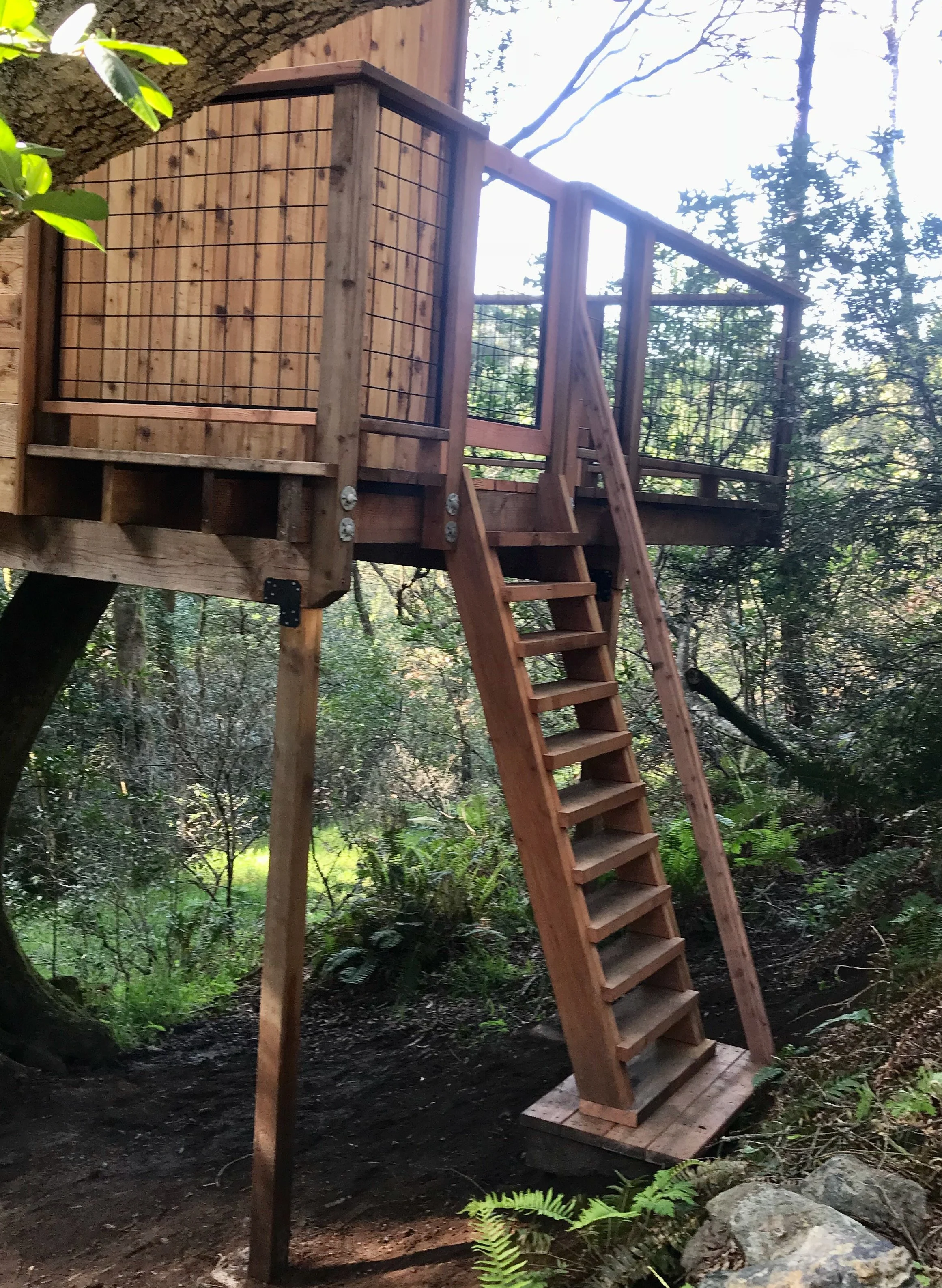 treeLadder.jpeg
