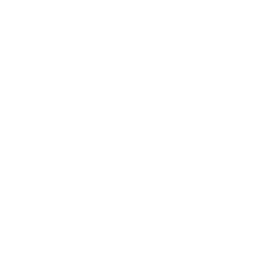 A black and white dog lying inside a cardboard box on a blanket with a pattern of red and green Christmas trees.