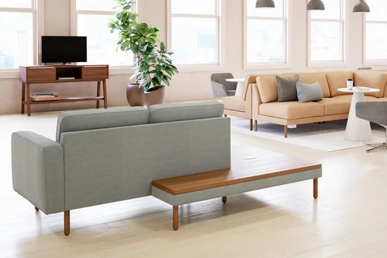 Modern living room with gray and beige sofas, a wooden TV stand with a monitor, a large potted plant, and multiple windows in the background.