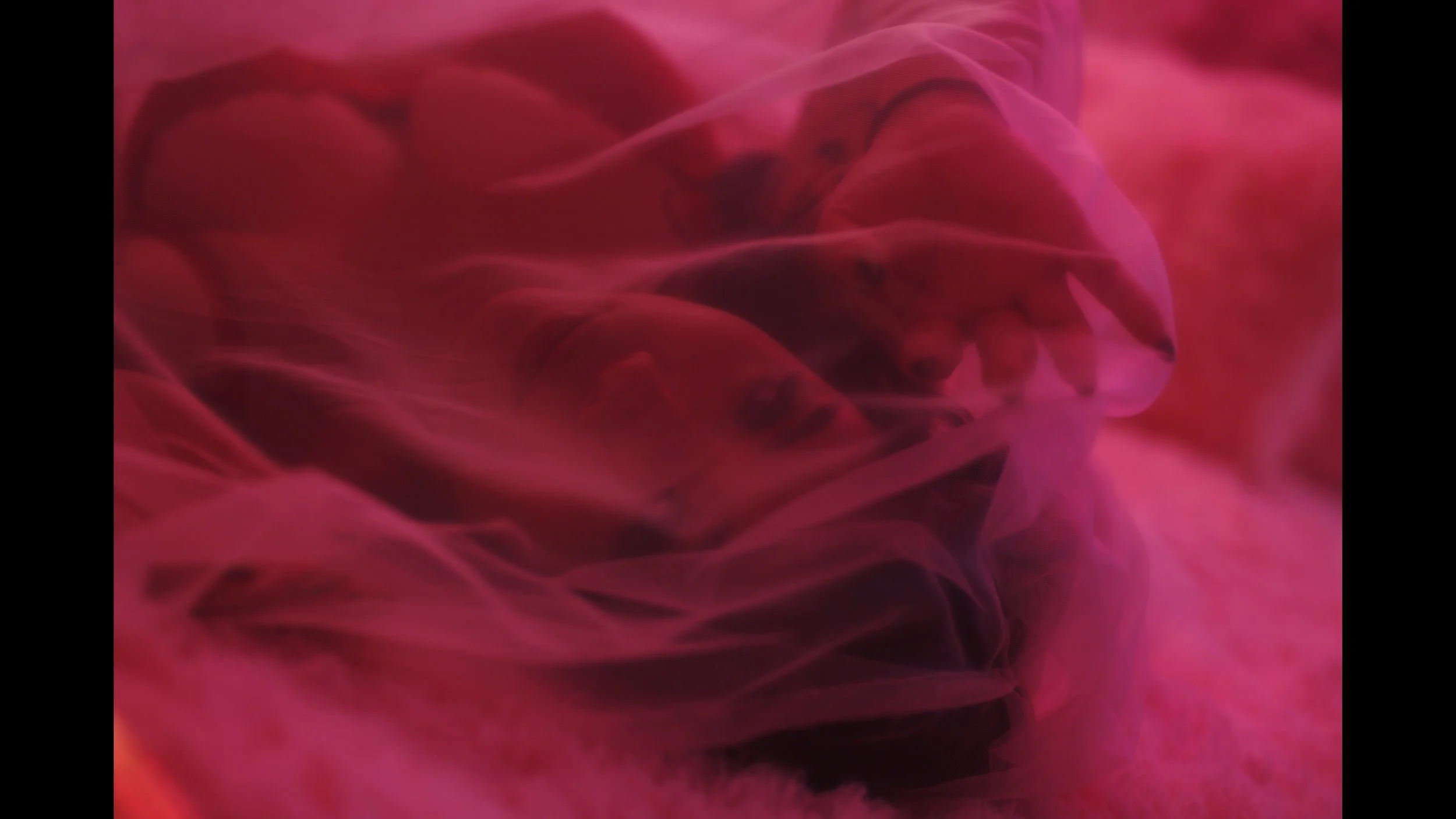 Timeline 1_01_00_15_15.jpg