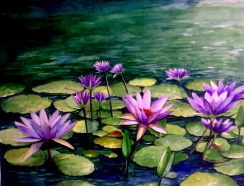 Purple water lilies with green lily pads on a pond.