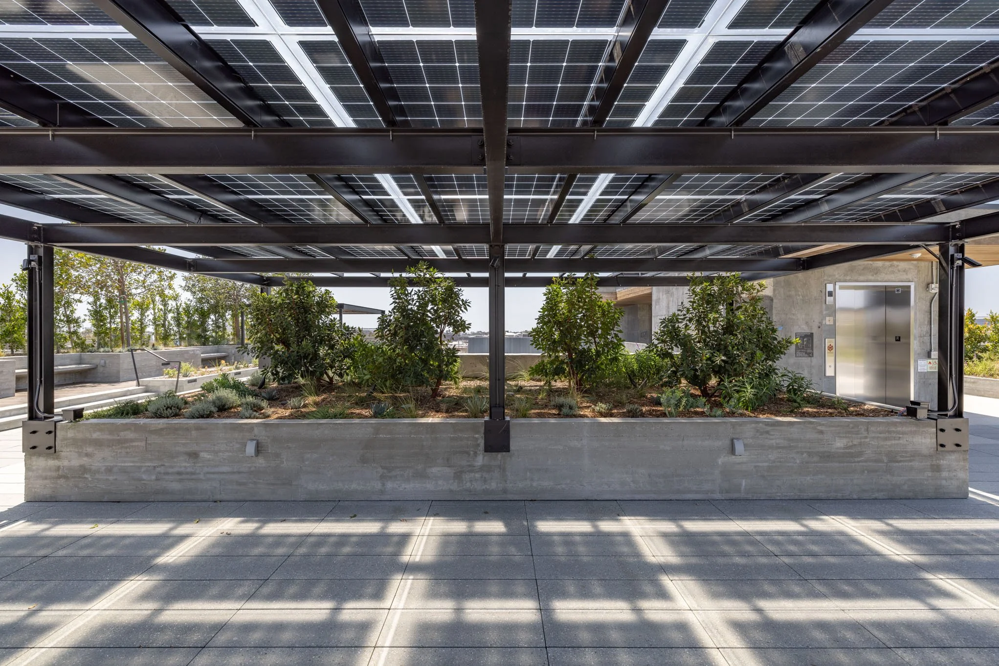 Rooftop garden with solar panels overhead and a concrete planter with green shrubs and small plants.