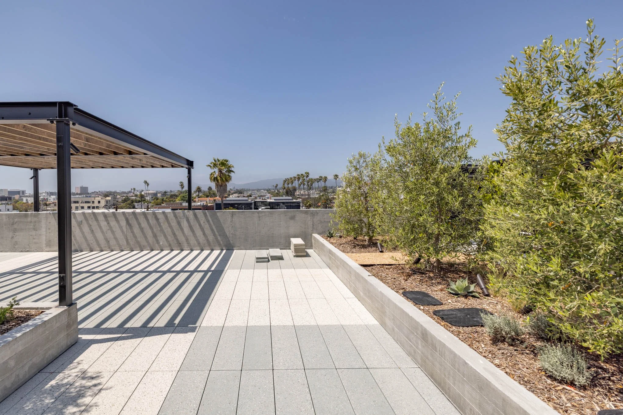Rooftop terrace with a pergola, potted plants, and a view of a city skyline with palm trees in the distance.