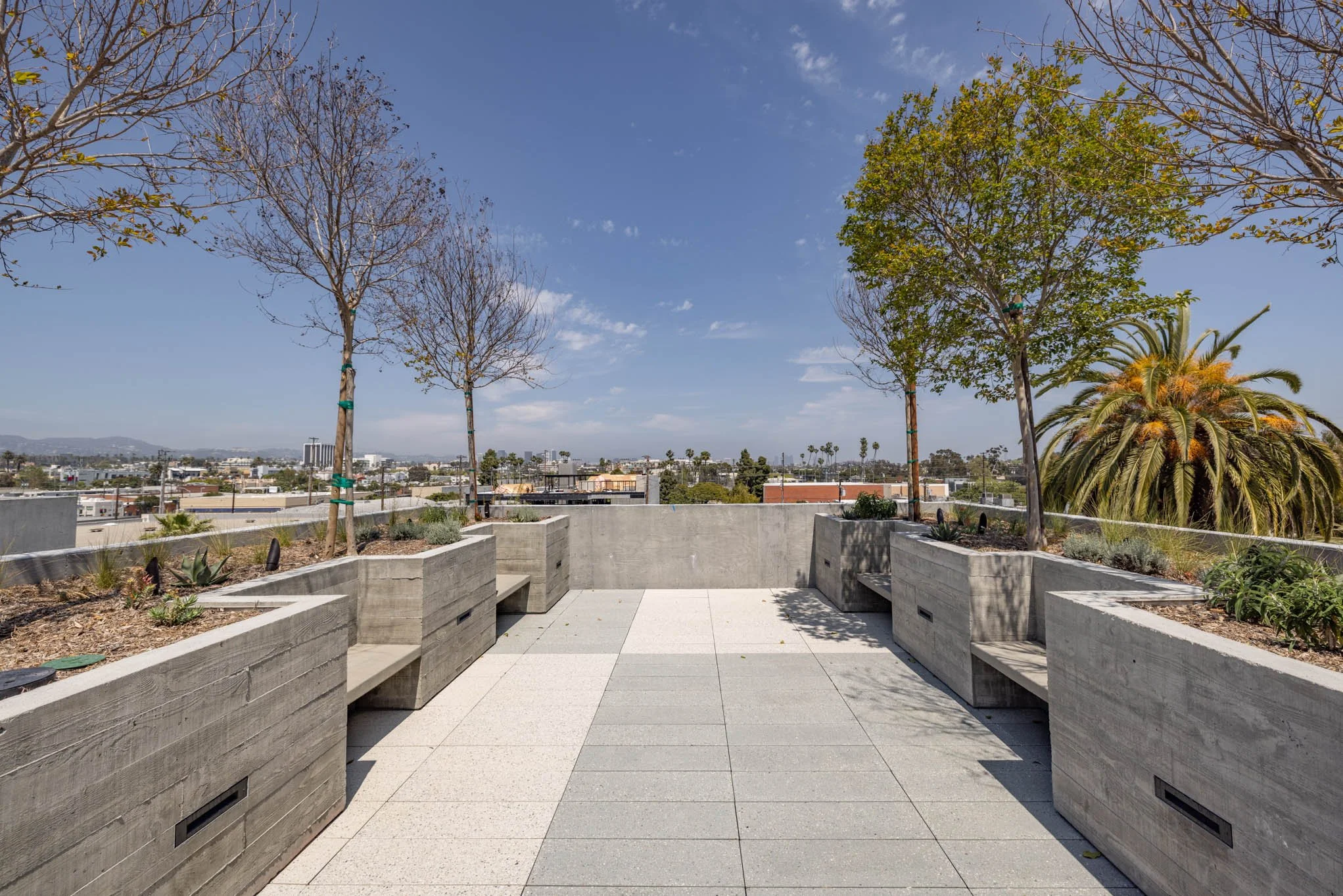 Rooftop terrace with concrete planters containing trees and plants, city view under a blue sky with scattered clouds.