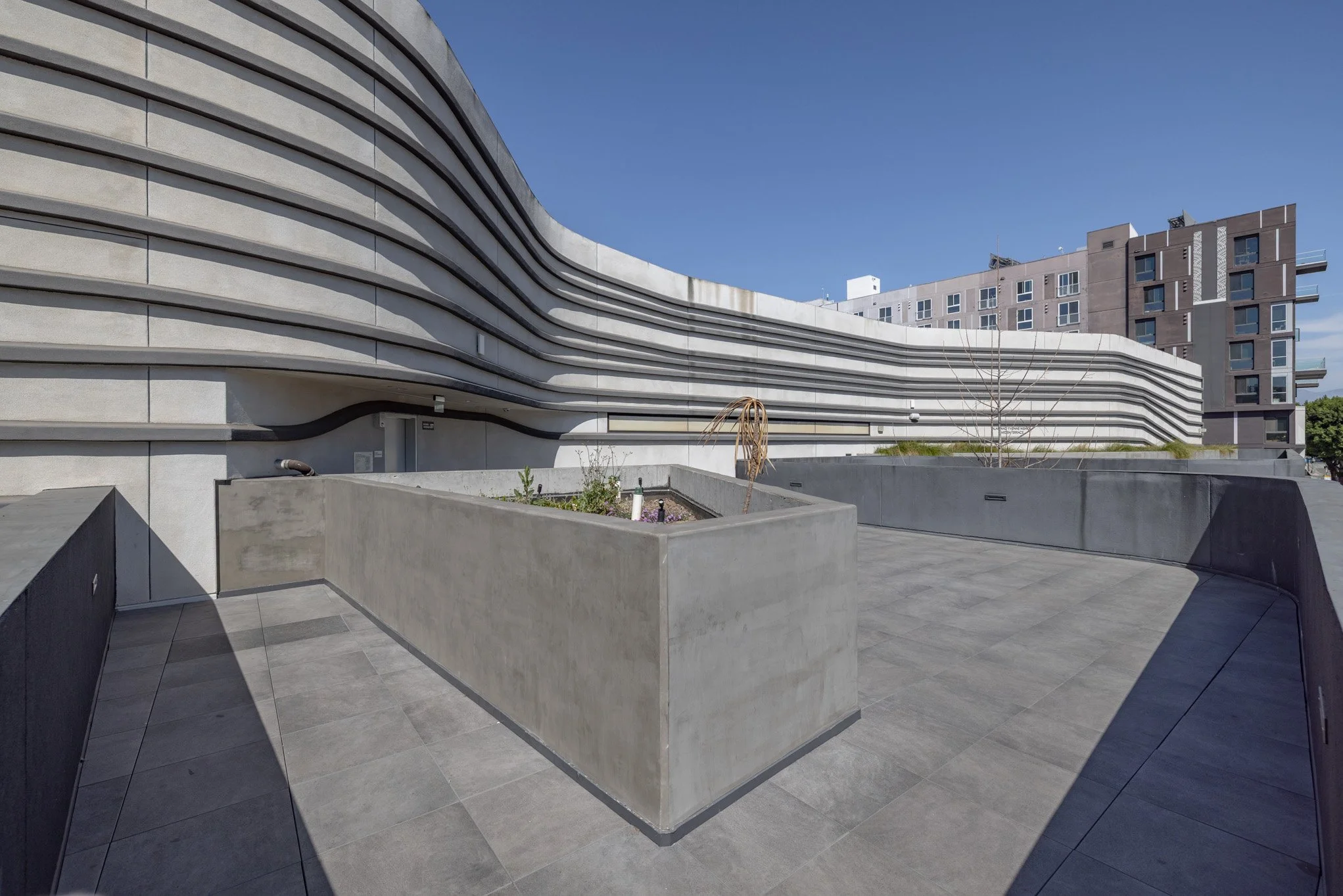 Modern building with curved gray facade, concrete ledges, and a rooftop garden with small plants and a leafless tree under a clear blue sky.