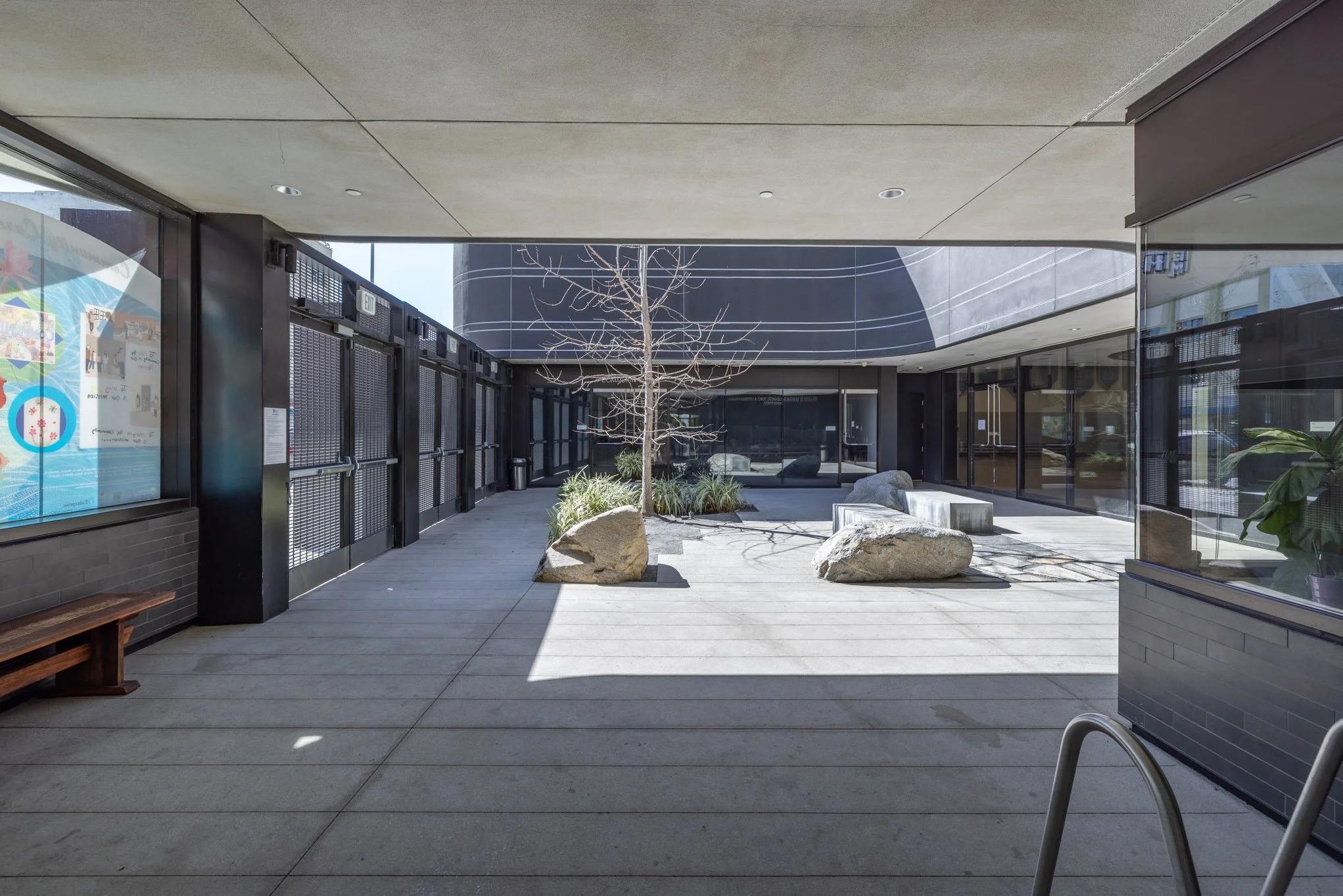 An outdoor patio area with a leafless tree, large rocks, concrete benches, and some plants, surrounded by glass windows and dark building structures.