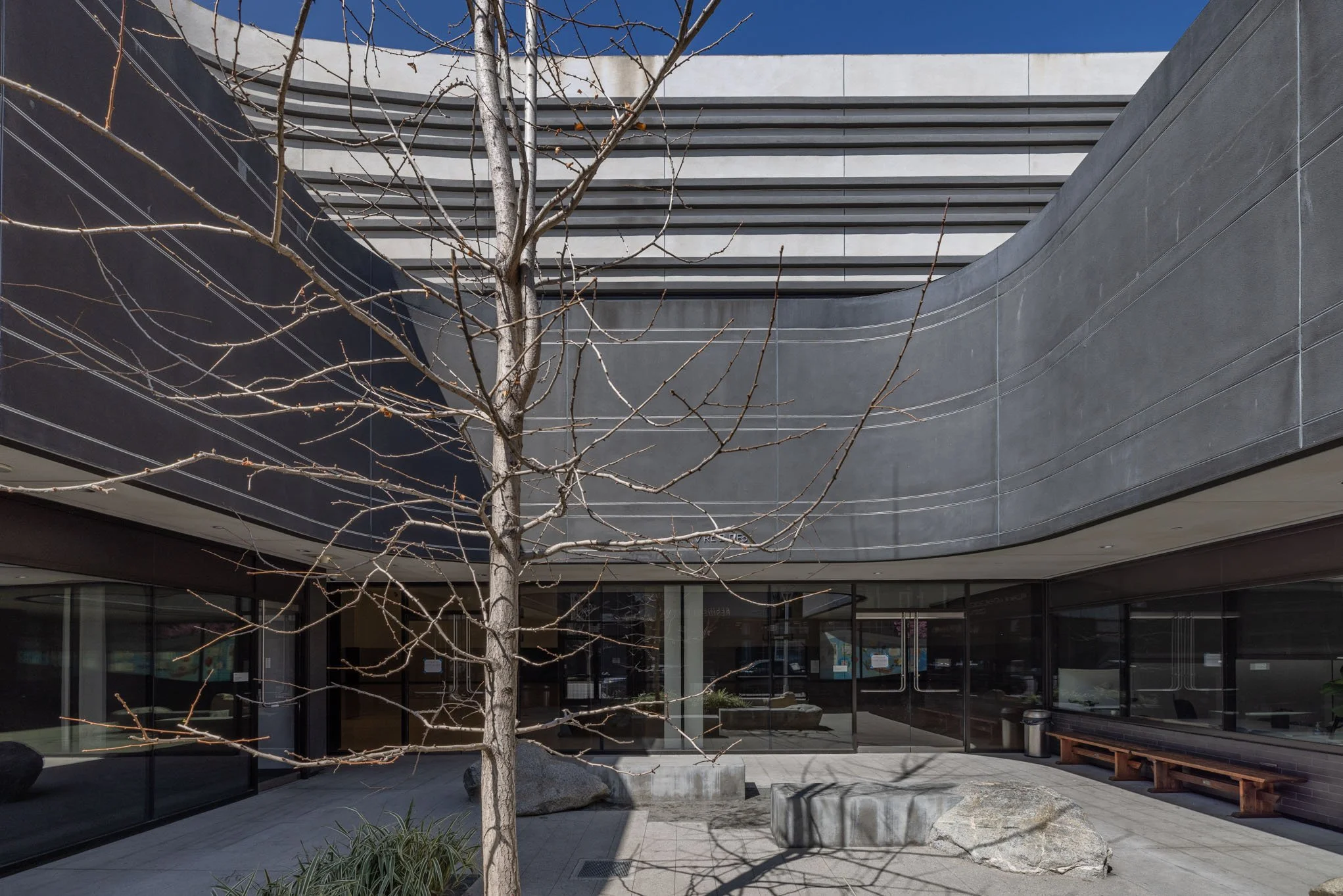 Modern building courtyard with leafless tree, large rocks, and a bench, featuring curved concrete walls and glass windows.